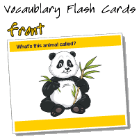 vocabulary flashcard example